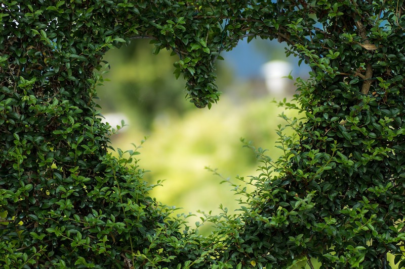 green heart
